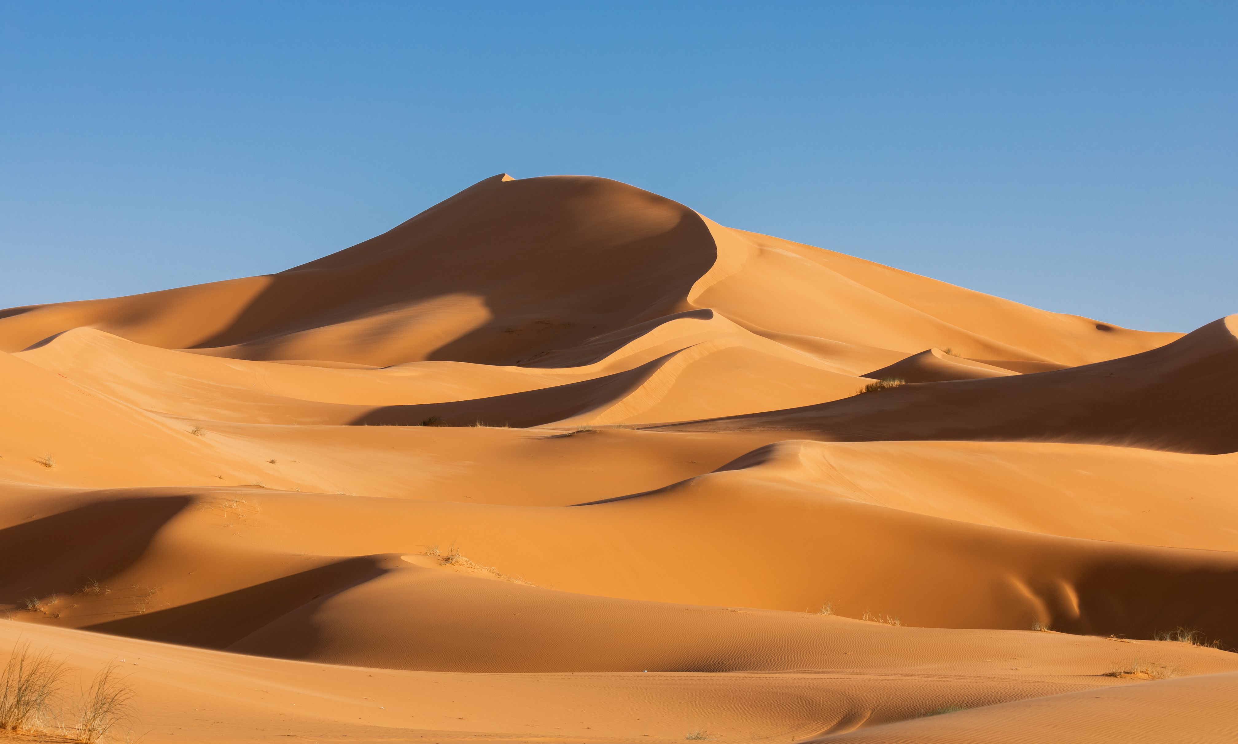 Dunes dorées du Sahara marocain